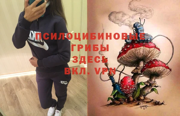 твердый Армянск