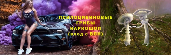 метадон Арсеньев